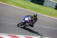 cadwell-no-limits-trackday;cadwell-park;cadwell-park-photographs;cadwell-trackday-photographs;enduro-digital-images;event-digital-images;eventdigitalimages;no-limits-trackdays;peter-wileman-photography;racing-digital-images;trackday-digital-images;trackday-photos